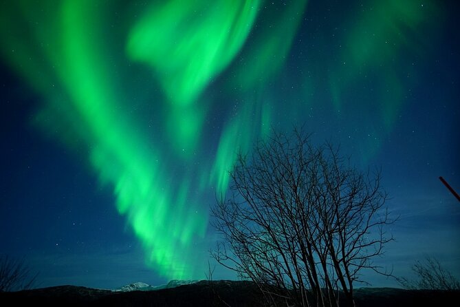 Tromso Aurora Chase by Minibus with Thermal Suit, Snack and Photo - What this Tromsø aurora chase is really about