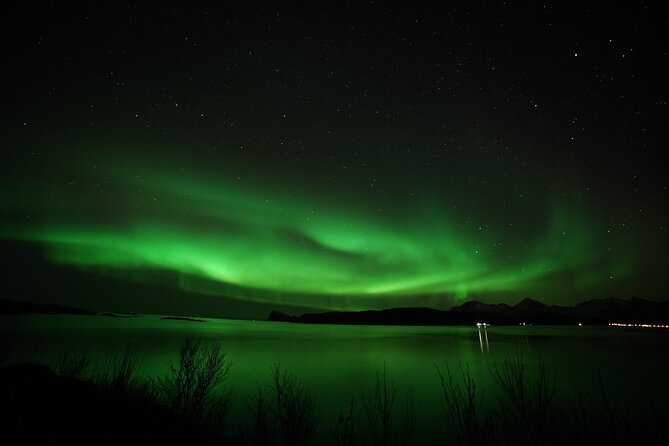 Tromso Aurora Chase by Minibus with Thermal Suit, Snack and Photo - Campfires, hot chocolate, and the waiting game