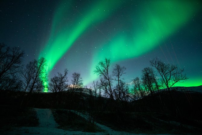 Tromso Aurora Chase by Minibus with Thermal Suit, Snack and Photo - Aurora photos are useful, but ask what you get