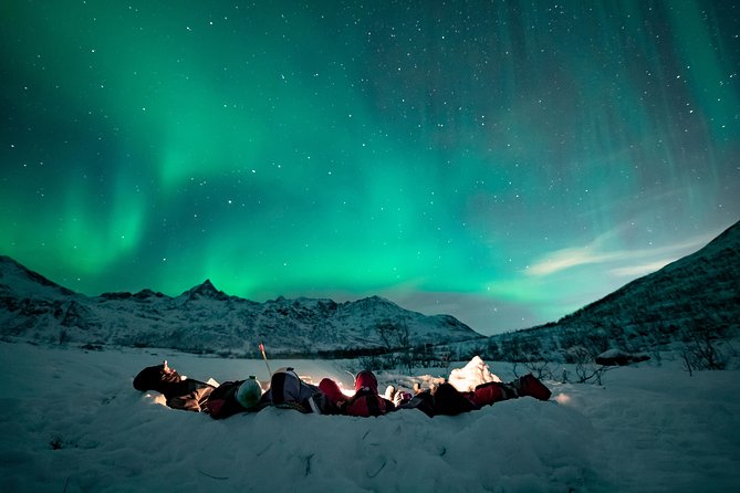 Tromso Aurora Hunt with Bonfire, Soup, Winter Gear & Transfers - Setting up the bonfire in Arctic nature