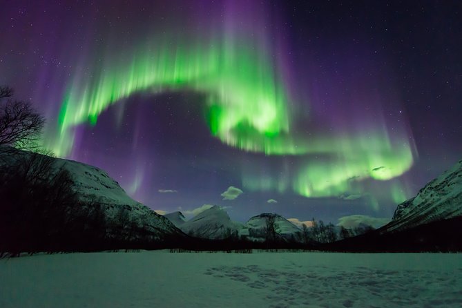 Tromso Aurora Hunt with Bonfire, Soup, Winter Gear & Transfers - Is the $226.72 price fair?
