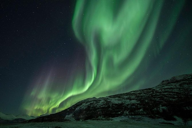 Tromso Aurora Hunt with Bonfire, Soup, Winter Gear & Transfers - Waiting for the Northern Lights