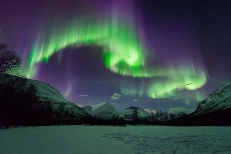 Tromsø: Aurora Hunt with Citizen Science - Key points to know before booking