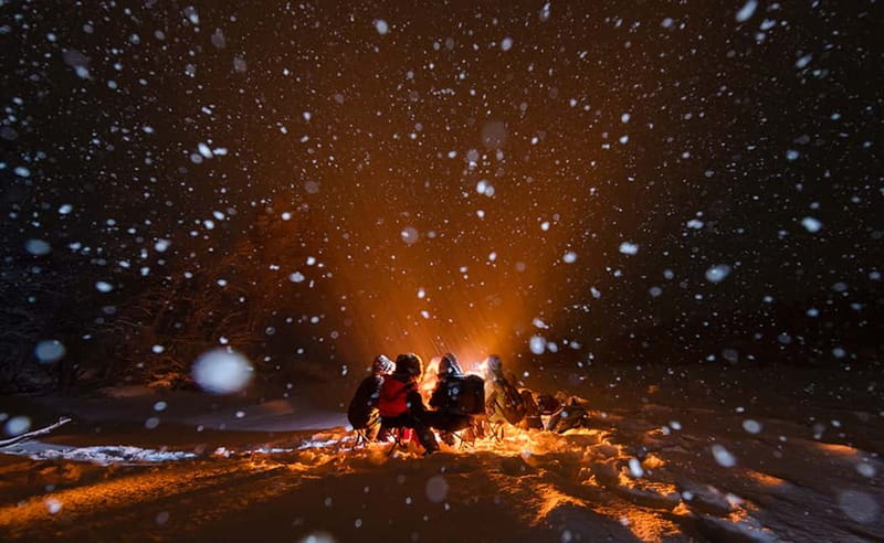 Tromsø: Aurora Hunt with Citizen Science - How the $250 price works out