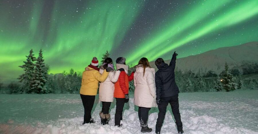 Tromsø: Aurora Safari Chase by big bus with Camp meal - Is $146 a fair price?