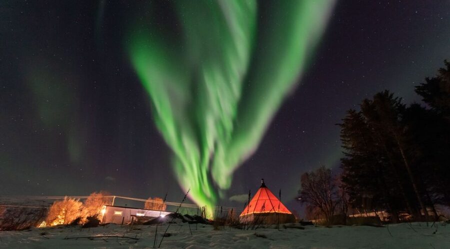 Tromsø: Aurora Safari Chase by big bus with Camp meal - Who will enjoy this tour most