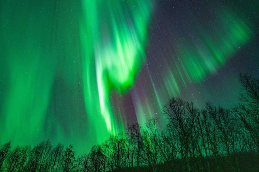 Tromsø: Aurora Tour with Photos, Campfire and Arctic Food - Who should book this experience?