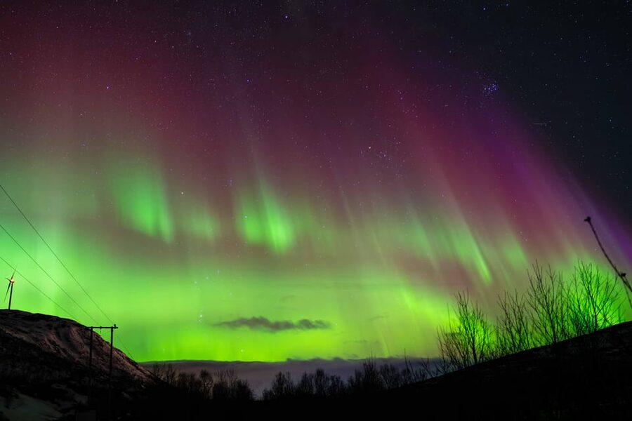 Tromsø: Aurora Tour with Photos, Campfire and Arctic Food - Staying warm on a long Arctic night