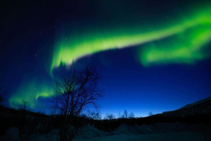 Tromsø Chinese Aurora Tour - Bonfire food and a useful warm-up