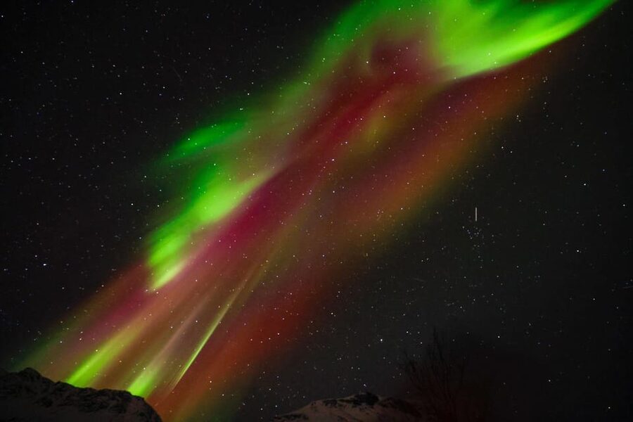 Tromsø Chinese Aurora Tour - Who will get the most from this tour