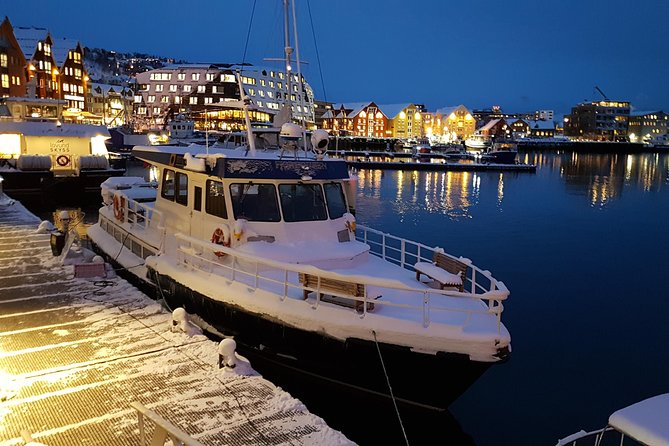 Tromsø City Walk - What You Learn About Arctic City Life