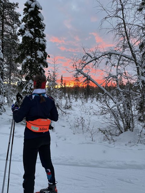 Tromsø: Cross Country Guided Skiing Course - Key points to know before you book