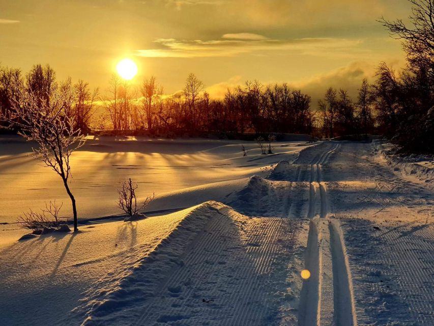 Tromsø: Cross Country Guided Skiing Course - Learning Norwegian skiing on Tromsøya