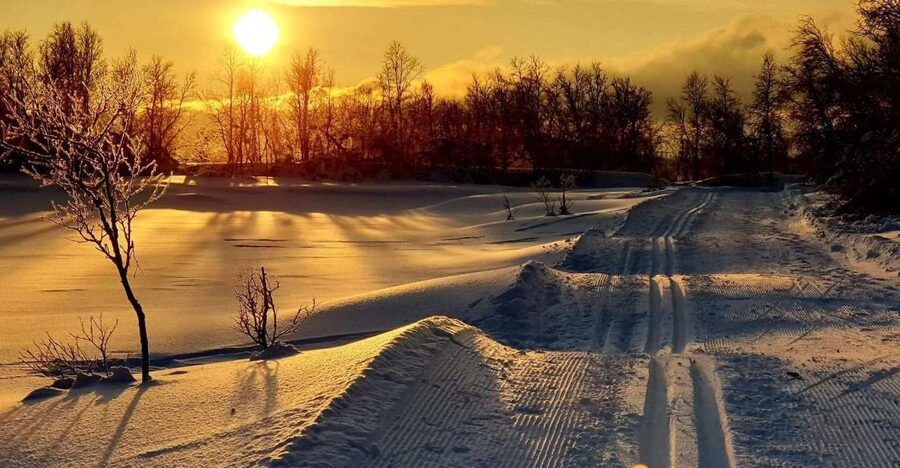 Tromsø: Cross Country Guided Skiing Course - Clothing matters more than the equipment