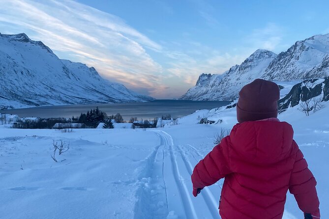 Tromsø Cross-Country Ski Adventure - Moving from practice area to forest trail