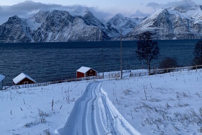 Tromsø Cross-Country Ski Adventure - Is the $128 price fair?