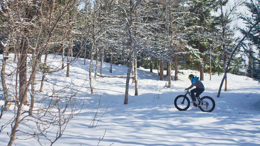 Tromsø: Electric fatbike trip on winter paths - What the guide adds beyond the bike ride