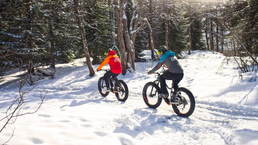 Tromsø: Electric fatbike trip on winter paths - Small details that improve the experience