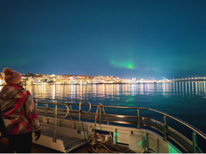 Tromsø: Electric Northern Lights Cruise - What happens when the aurora appears