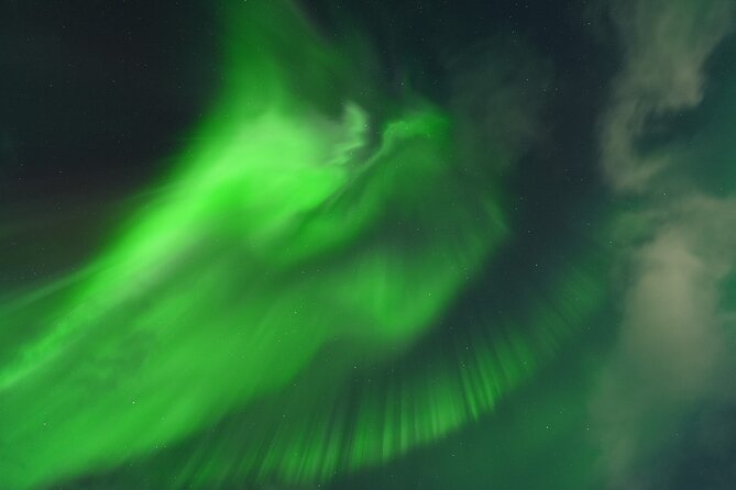 Tromsø: English/Spanish Aurora Pathfinder Tour with Photos - Key points at a glance