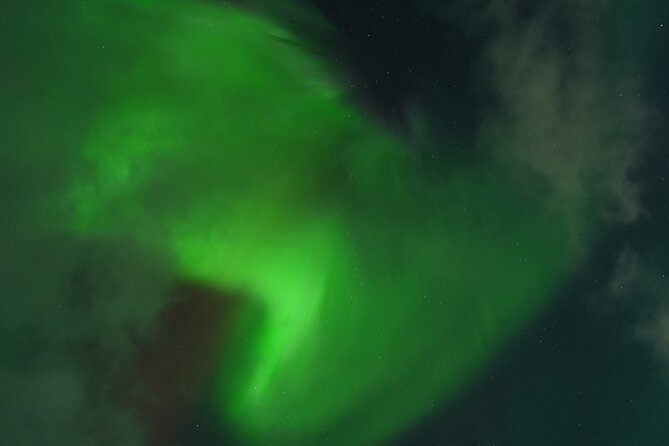 Tromsø: English/Spanish Aurora Pathfinder Tour with Photos - What the evening can feel like