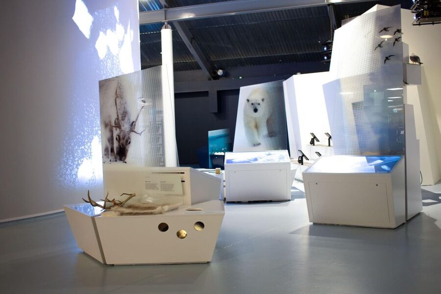 Tromsø: Entrance Ticket to Polaria - Accessibility and family comfort