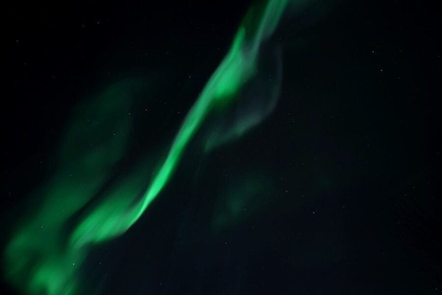 Tromsø: Evening Aurora Cruise (dinner optional) - Leaving central Tromsø at 8 pm