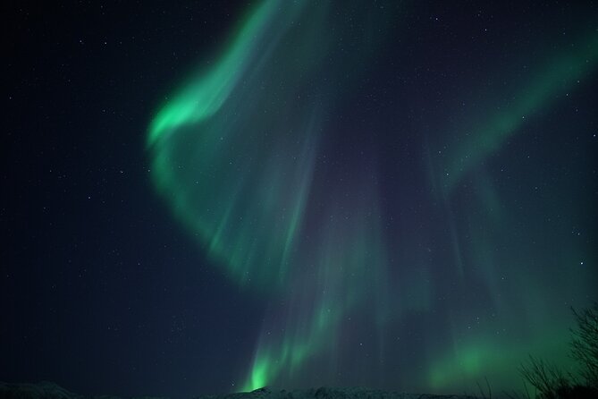 Tromsø: Evening Cruise with Northern Lights Opportunity - Leaving Tromsø at 8 p.m.
