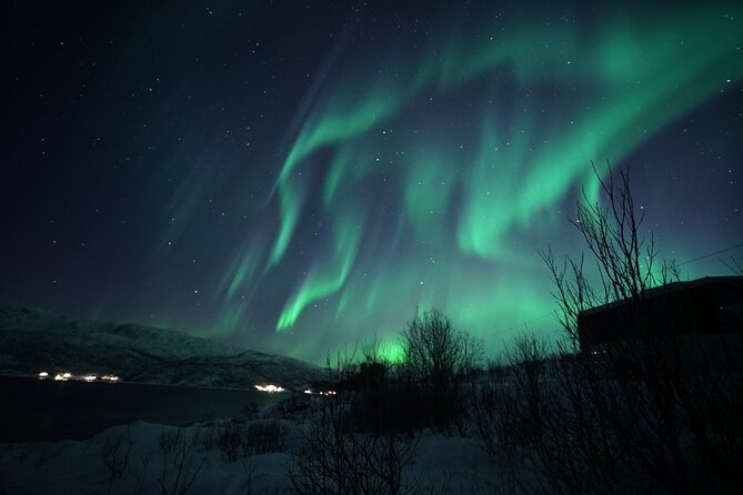 Tromsø: Evening Cruise with Northern Lights Opportunity - Who will enjoy this cruise most?