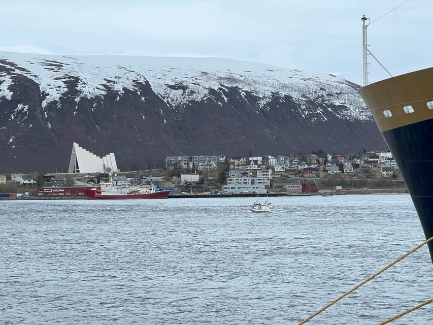 TROMSØ: Explore The City And a Guided Tour Of PolarMuseum! - Walking toward the port and Skansen