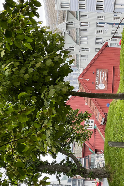 TROMSØ: Explore The City And a Guided Tour Of PolarMuseum! - Inside the Polar Museum with a guide