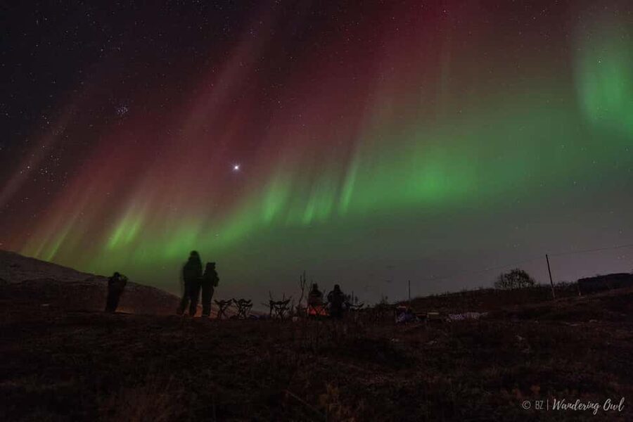 Tromsø: Express Aurora Hunt - Waiting under the Arctic sky