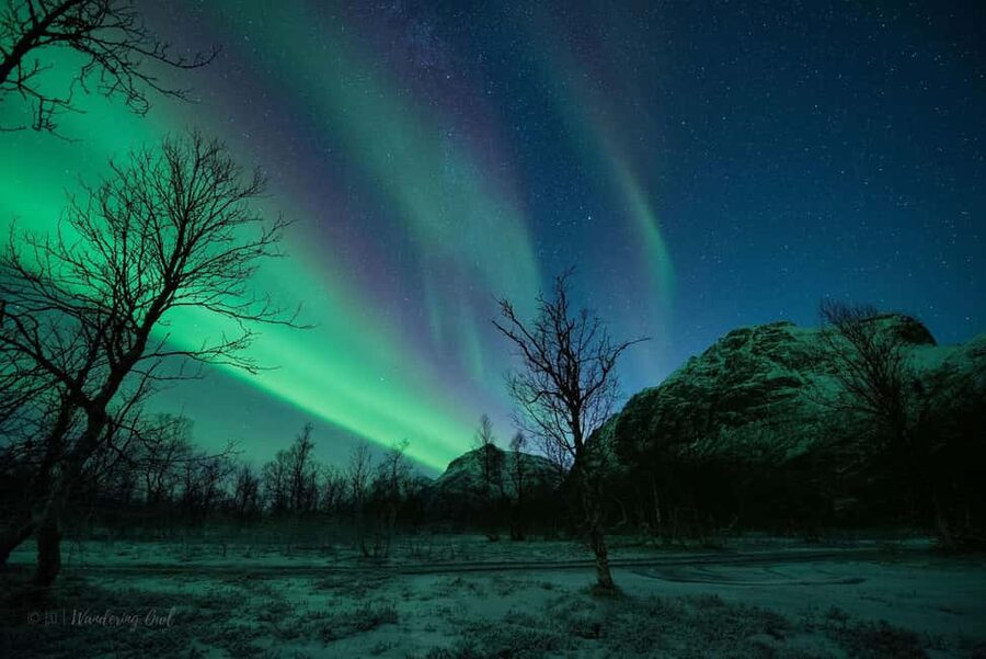 Tromsø: Express Aurora Hunt - What the $196 price includes
