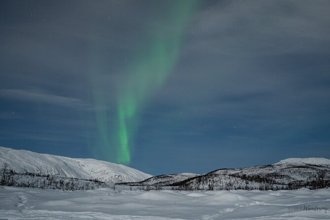 Tromsø: Express Aurora Hunt with Wandering Owl - Warm drinks, snacks, and what you need to bring