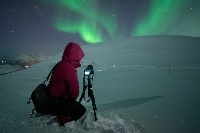 Tromsø: Express Aurora Hunt with Wandering Owl - Is $129.23 a fair price?