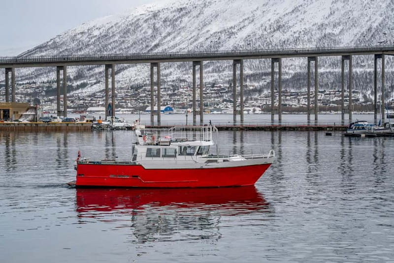 Tromsø: Fishing Sea Safari - Key points to know before you go
