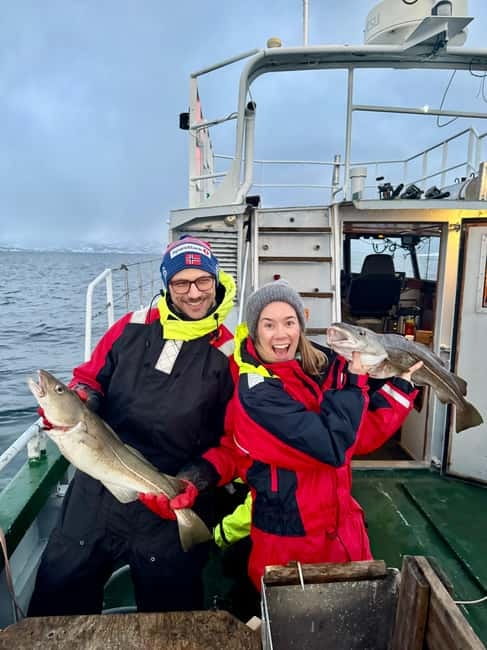 Tromsø: Fishing Sea Safari - Three hours on Tromsø’s working waters