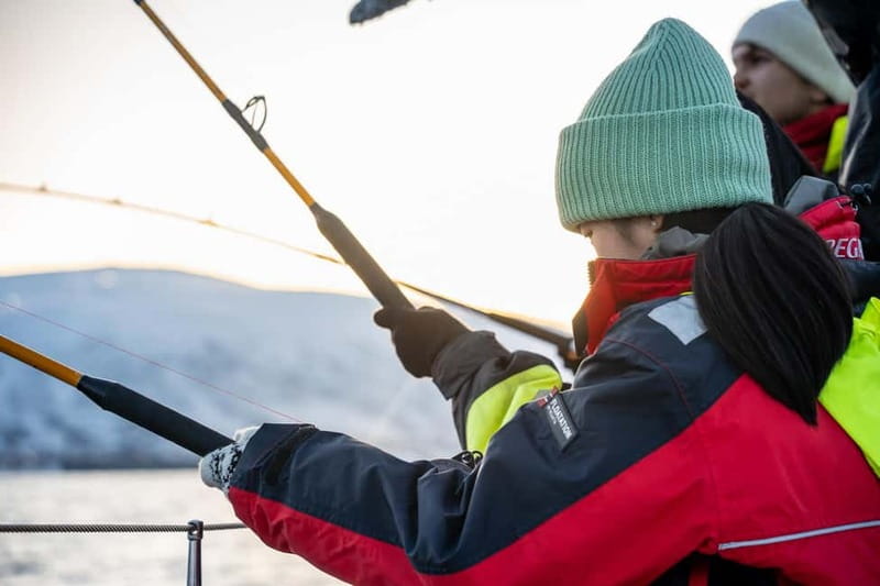 Tromsø: Fishing Sea Safari - Fishing for cod, coalfish, and herring
