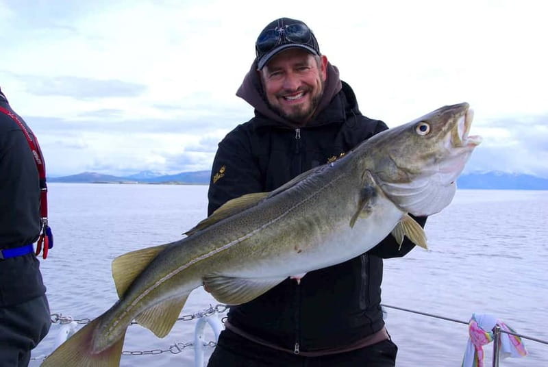 Tromsø: Fishing Sea Safari - Booking details worth knowing