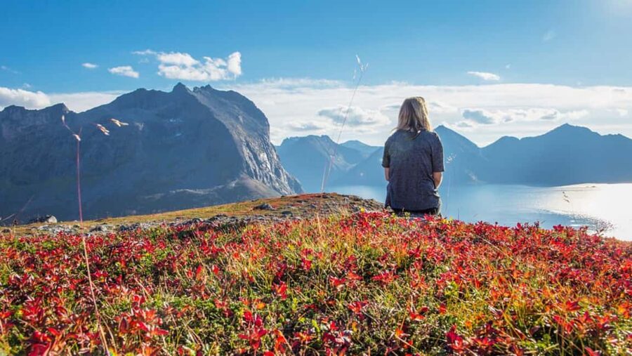 Tromso: Fjord Arctic Adventure Expedition - Why this five-hour fjord trip works