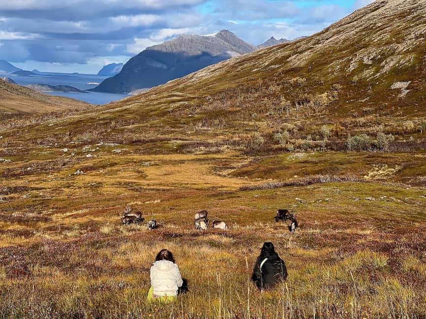 Tromso: Fjord Arctic Adventure Expedition - Wildlife: exciting, but never guaranteed