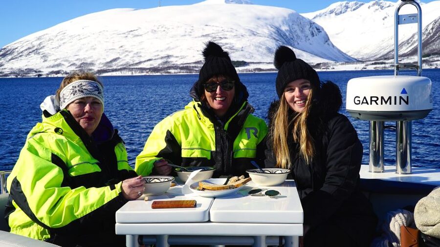 Tromsø: Fjord Cruise by Luxury Yacht - Key points before you book