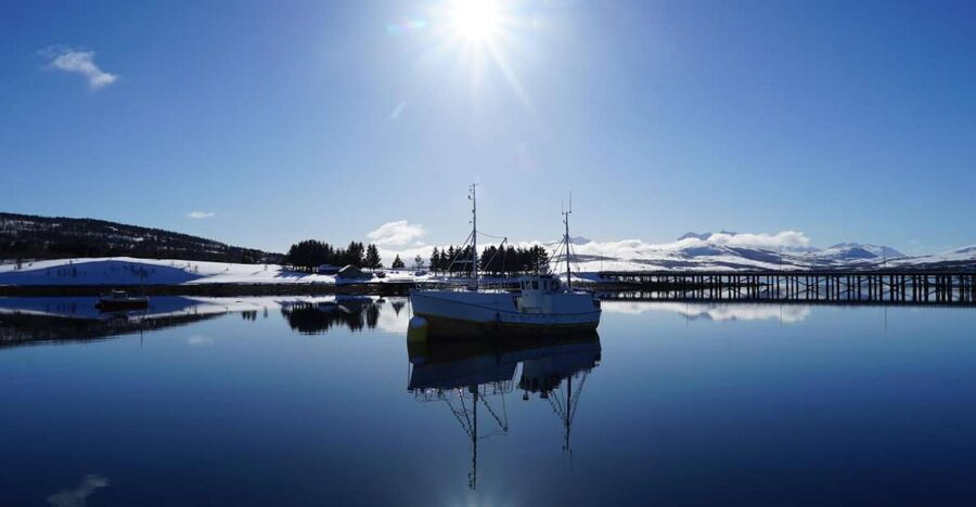 Tromsø: Fjord Cruise by Luxury Yacht - Practical details for a smoother trip