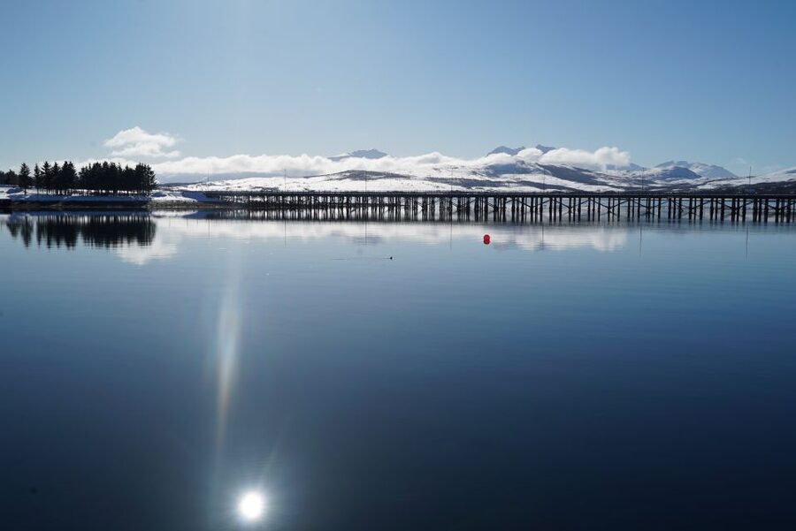 Tromsø: Fjord Cruise by Luxury Yacht - Slowing down in quiet Sørbotn
