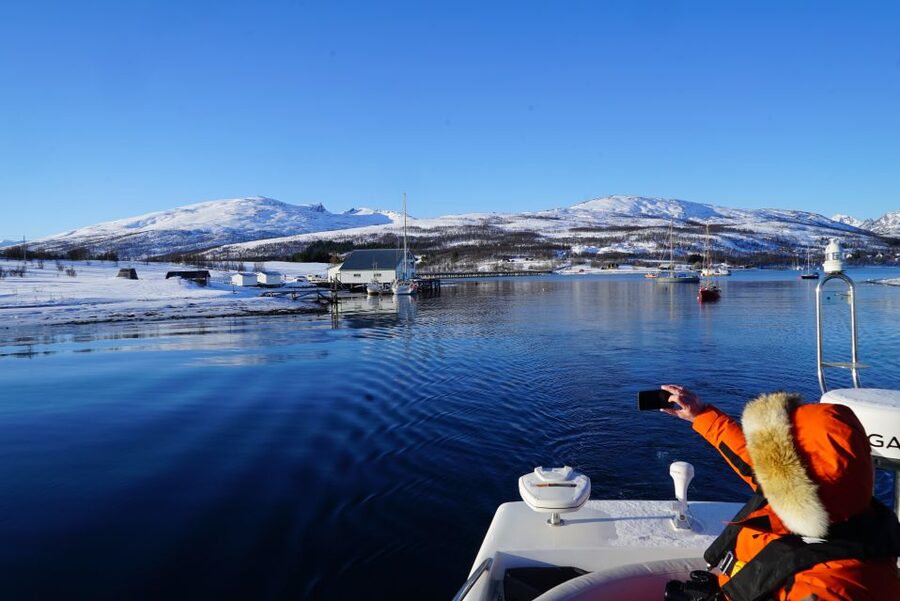 Tromsø: Fjord Cruise by Luxury Yacht - What $236 buys you