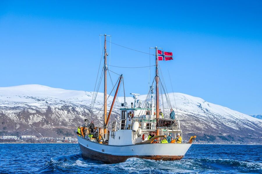 Tromsø: Fjord History Cruise with Snack and Drinks - Is $156 a fair price for 2.5 hours?
