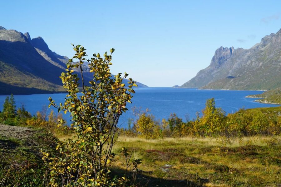 Tromsø: Fjord Sightseeing in a Tesla X Luxury Electric Car - Kvaløya and the road into the mountains