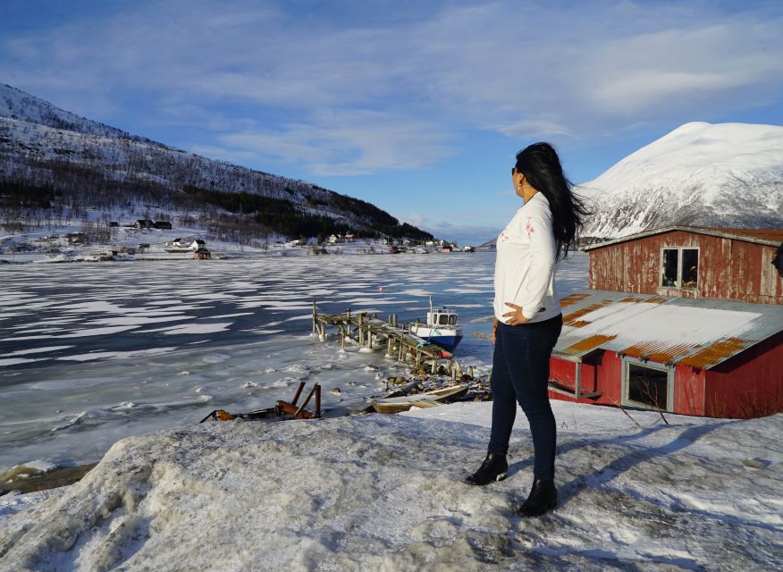 Tromsø: Fjord Sightseeing in a Tesla X Luxury Electric Car - Grøtfjord and the final stretch
