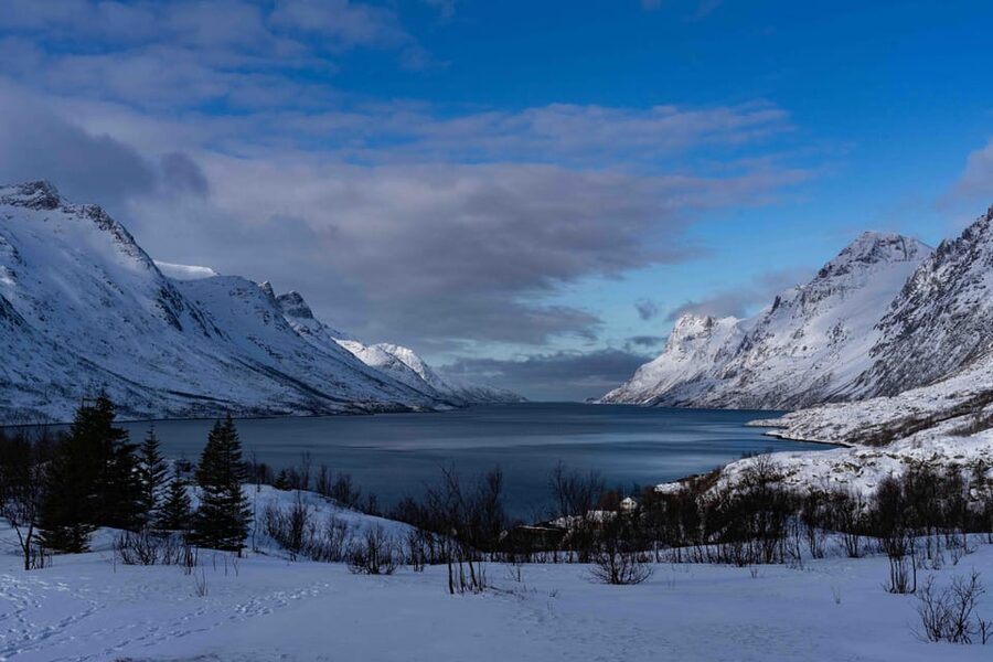 Tromsø: Fjords & Beaches Tour with Campfire and Arctic Food - Key points to know before booking