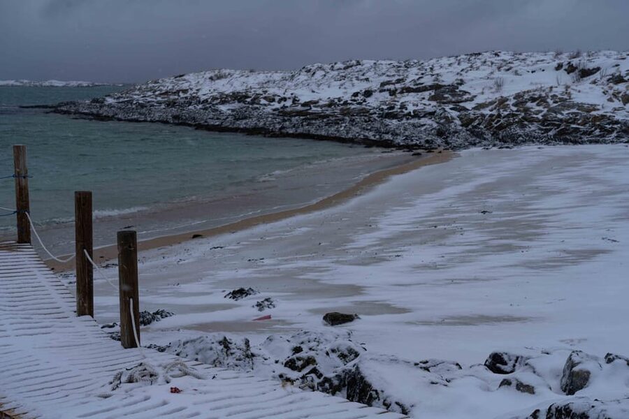 Tromsø: Fjords & Beaches Tour with Campfire and Arctic Food - Wildlife without a promise of sightings